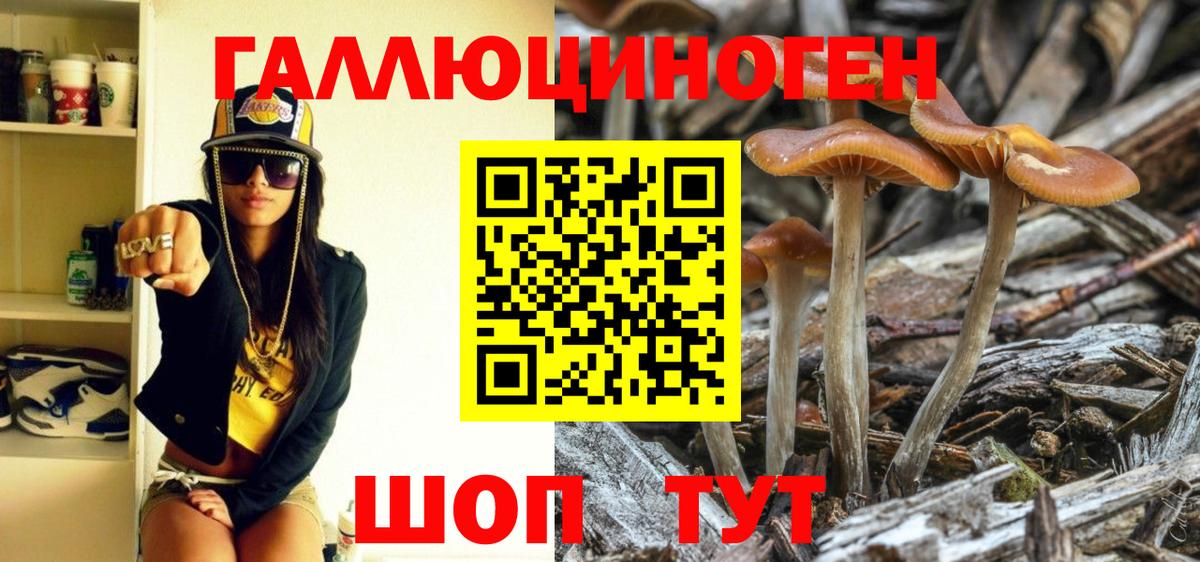 Псилоцибиновые грибы мицелий  Вход с VPN  Галлюциногенные грибы мицелий  Коряжма 